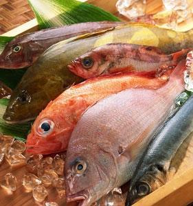 市面水產中的有機錫化合物